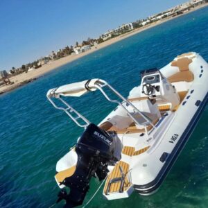 Delfin Tour Soma Bay mit Speedboot Privat