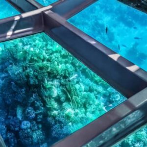 Glasbodenboot Hurghada Privat