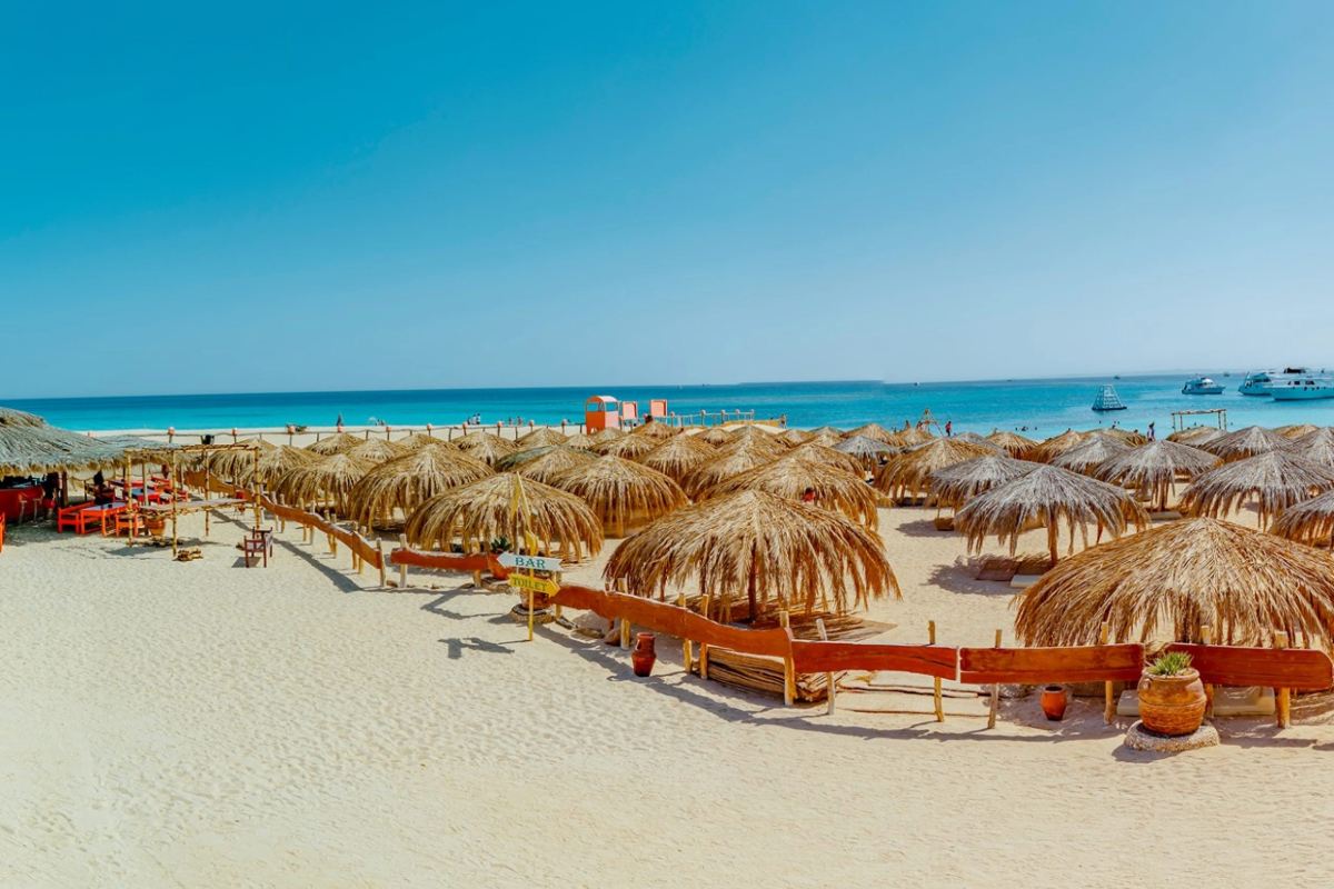 Exklusive Paradise Insel Sahl Hasheesh Tour & Schnorchelausflug in kleiner Gruppe