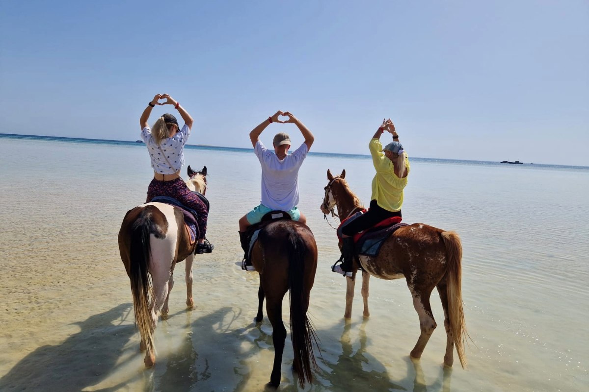 Pferdeausritt Hurghada : Reiten in Hurghada oder Makadi Bay am Strand und in der Wüste privat