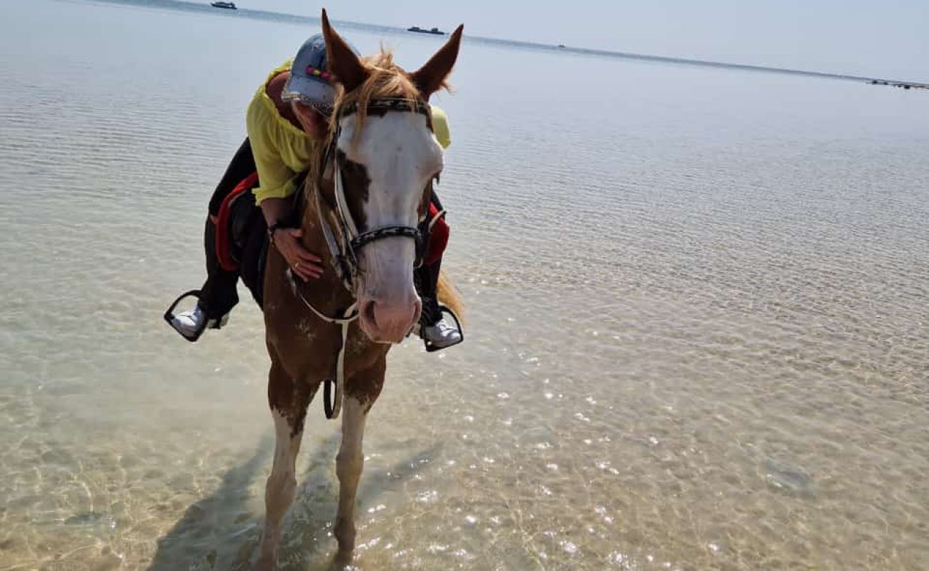 Hurghada Reiten am Strand