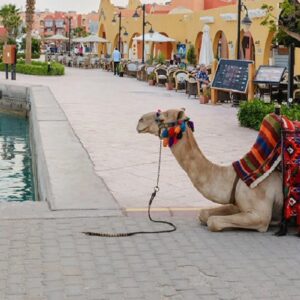 Hurghada Stadtrundfahrt Privat Privater Hurghada Stadtrundgang