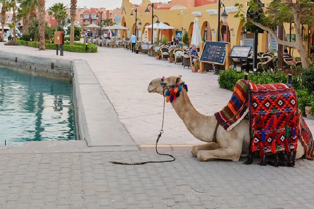 Private Hurghada Stadtrundfahrt | Stadtrundgang zur Hurghada Sehenswürdigkeiten