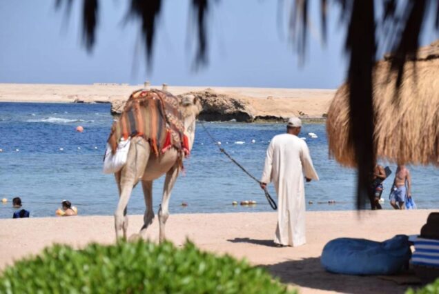 Sharm El Naga schnorcheln-Ausflug ab Safaga Hafen