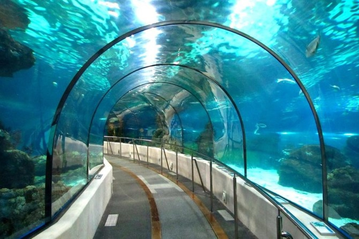 Hurghada Grand Aquarium Tour