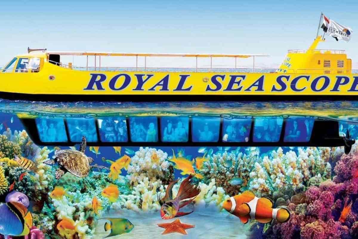 Glasbodenboot Makadi Bay | Royal Seascope Halb-U-Boot Ausflug