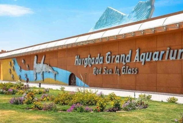 Hurghada Grand Aquarium Tour