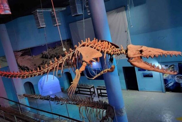 Hurghada Grand Aquarium Tour