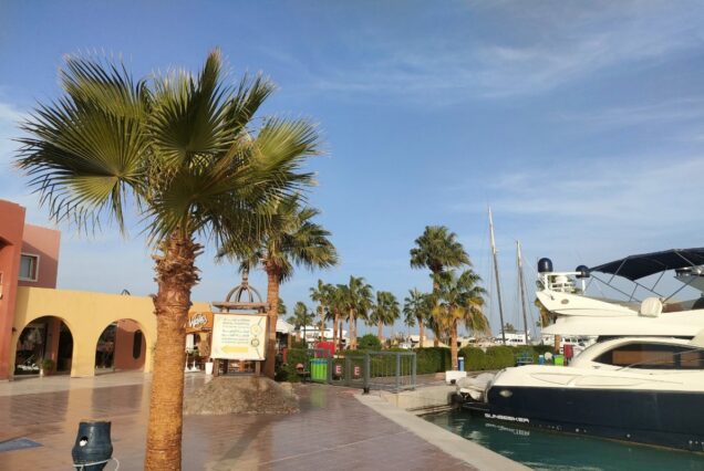 Private Hurghada Stadtrundfahrt ab El Gouna