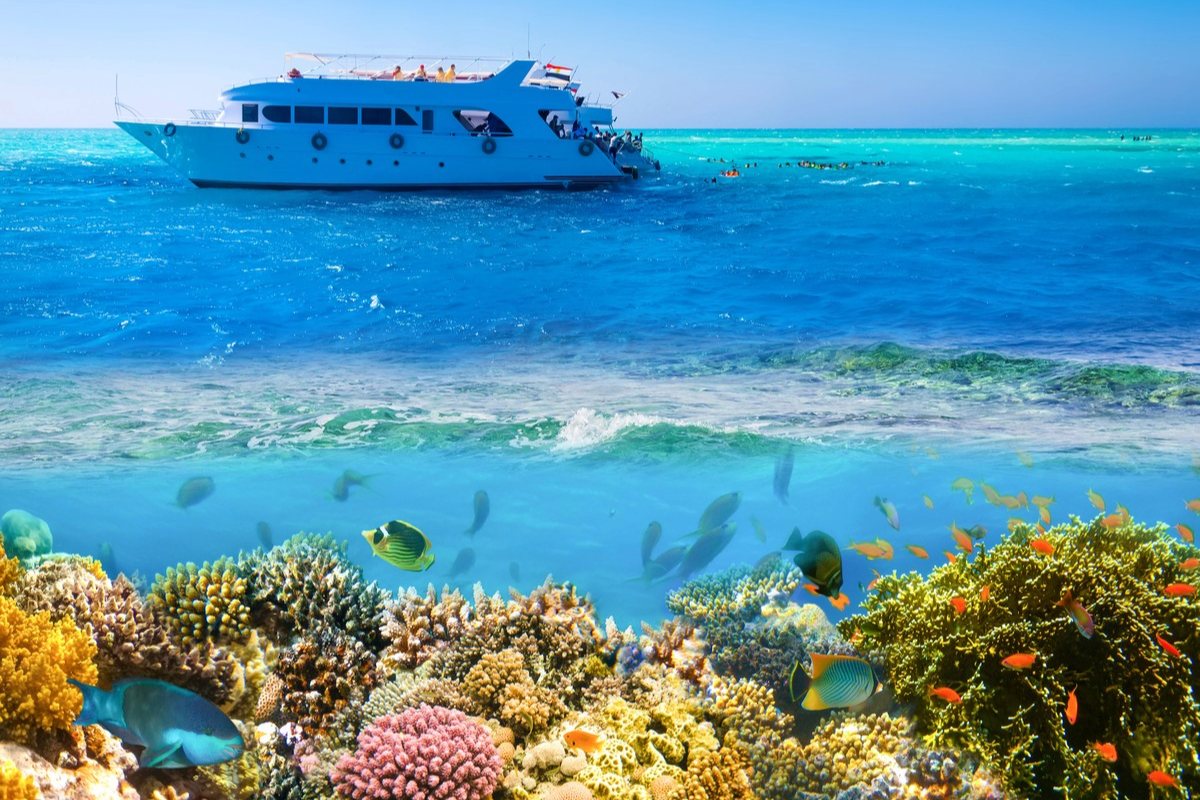 Private Bootstour ab Safaga (Delfin Tour - Inselausflug - Schnorcheln)