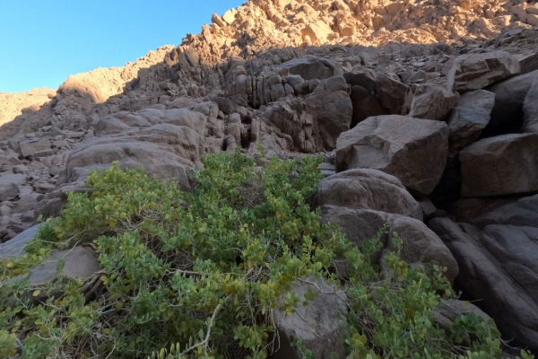 Exklusive private Jeep-Safari zu den Beduinendörfern & Om Dalfa