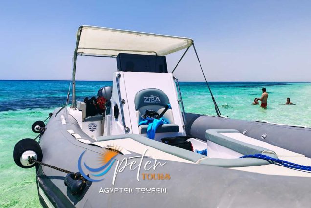 Speedboot Hurghada Private Delfin Tour & Schnorcheln