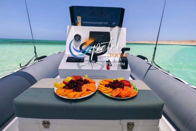 Speedboot Hurghada Private Delfin Tour & Schnorcheln