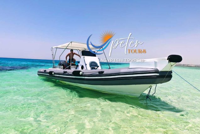 Speedboot Hurghada Private Delfin Tour & Schnorcheln