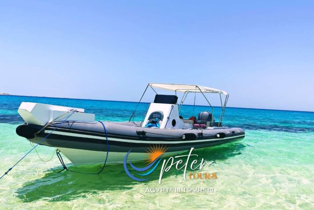 Speedboot Hurghada Private Delfin Tour & Schnorcheln