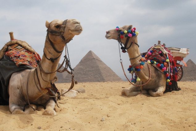 Privater Ausflug Soma Bay-Kairo Grand Museum-Pyramiden