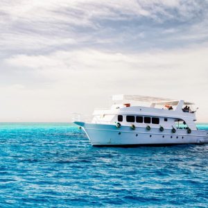 Private Bootstour Hurghada Delfin- & Schnorcheltour
